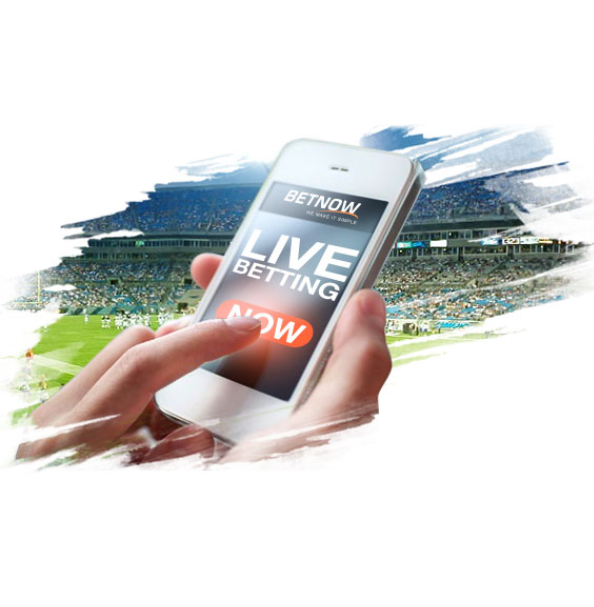 Build Your Dream Cricket Betting Platform with Our Software Devel