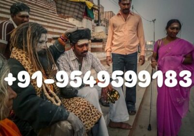 Astrology Expert Career Problem Solve Specialties Baba Ji