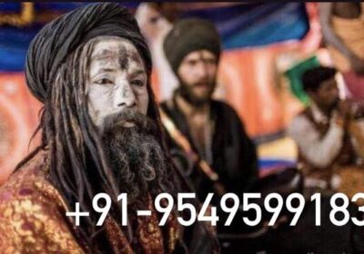 Love Spell Astrologer Specialties Baba Ji 09549599183